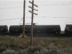 UTLX 958682